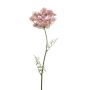 Dill spray pink 67cm