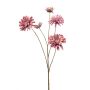 Zinnia spray pink 90cm