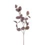Eucalyptus spray dk purple 73cm