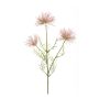 Anemone seed spray pink 65cm