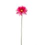 Gerbera mini spray fuchsia 50cm