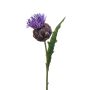 Artichoke w flower spray rt purple 60cm