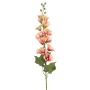 Alcea spray fuchsia/peach 105cm