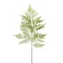 Fern pteridium spray 130cm