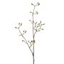 Magnolia buds spray green 90cm