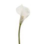 Calla lily stem white 70cm