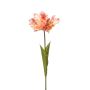 Tulip parrot spray peach 68cm