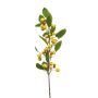 Crab apple spray yellow 90cm