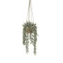 Eucalyptus hanging in pearlgold pot 130cm