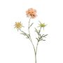 Scabiosa spray peach 77cm