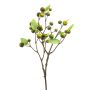 Crab apple spray green 70cm