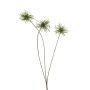 Xanthium spray green 62cm