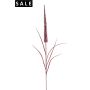 Pennisetum stem glitter burgundy 106cm