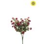 Bellis bush UV pink/beauty 36cm