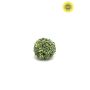 Boxwood ball UV green d15cm