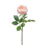 Rose jenny spray RT peach 60cm