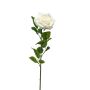 Rose marleen spray cream 63cm