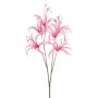 Nerine spray pink 55cm