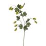 Hop spray green 95cm