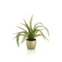 Fern bush green 50cm in pearlgold pot