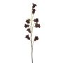 Campanula spray burgundy 85cm