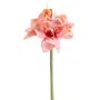 Amaryllis spray pink 72cm