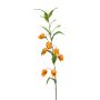 Sandersonia spray lt orange 95cm