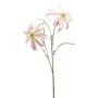 Gloriosa spray lt pink 58cm