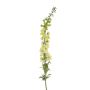 Delphinium spray XL lt green 130cm