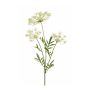 Dill spray white 80cm