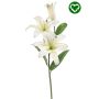 Lily casablanca spray REC white 85cm