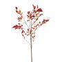 Nandina spray red 120cm
