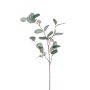 Eucalyptus spray grey 73cm