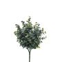 Eucalyptus bush green/grey 30cm