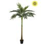 Palm UV 245cm (knock down packing)