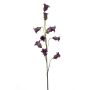 Campanula spray purple 85cm