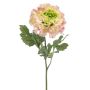 Ranunculus spray XL pink/green 60cm