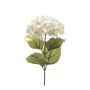 Hydrangea spray cream 65cm