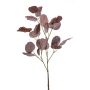 Eucalyptus spray burgundy 105cm