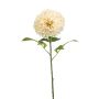 Dahlia pompon spray XL cream 77cm