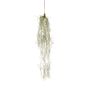 Tillandsia hanging deco  90cm