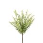Rosemary bush green/grey 30cm