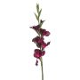 Gladiolus spray purple 88cm
