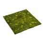 Hypnum moss mat 100x100cm