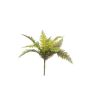 Fern bush green 50cm