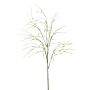 Stipa spray green 80cm