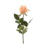 Rose simone spray peach 73cm