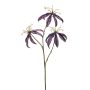 Gloriosa spray purple 67cm