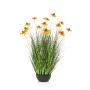 Rudbeckia grass orange in pot 90cm
