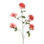 Rhododendron spray coral 118cm